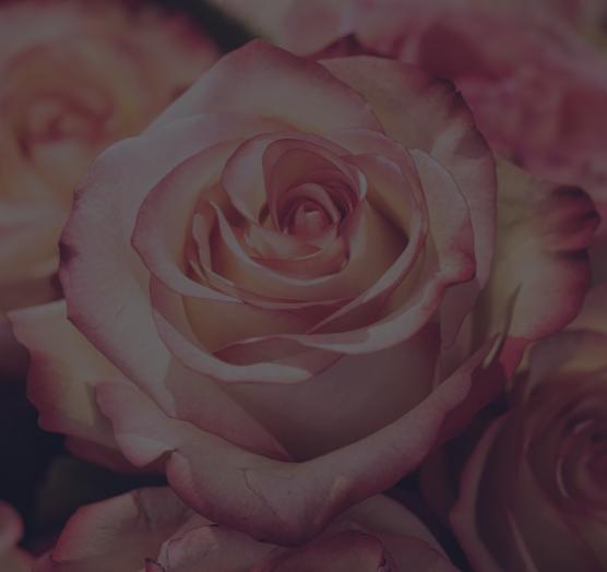 Order Death Certificate